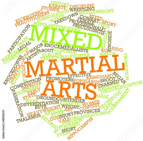 Illustration: Word cloud for Mixed martial arts Word cloud for Mixed martial arts
