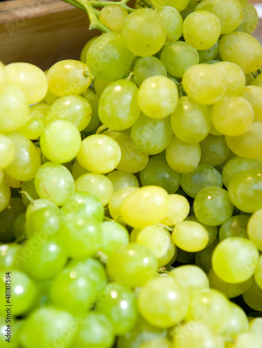 Photo: Grapes Grapes