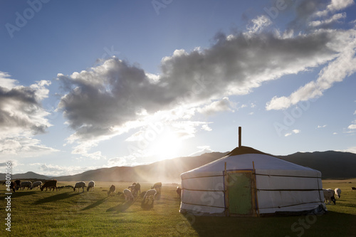 Photo: Dawn in a Ger. Mongolia Dawn in a Ger. Mongolia