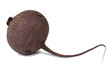 Photo: Red beet isolated Red beet isolated