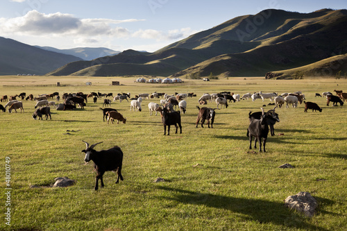 Photo: Orkhon idyllic landscape Orkhon idyllic landscape