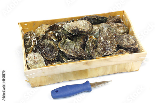 Photo: huitres huitres
