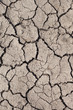 Dry soil.