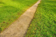 allée traversant une pelouse
