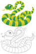 Illustration: Green striped snake Green striped snake
