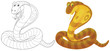 Cobra