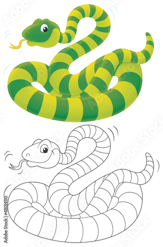Illustration: Green striped snake Green striped snake