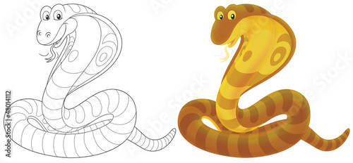 Illustration: Cobra Cobra
