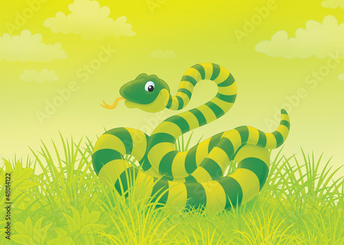 Illustration: Green striped snake writhing in grass Green striped snake writhing in grass