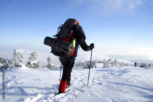 Photo: Winter hiking in snowshoes. Winter hiking in snowshoes.