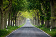 lonely Street