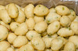 Photo: alghe fritte alghe fritte