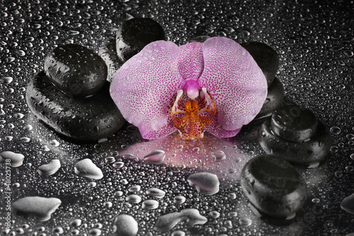 Photo: Spa stones and orchid flower, on wet grey background. Spa stones and orchid flower, on wet grey background.