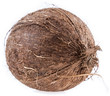Closed Coconut isolated on white