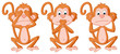 3 Wise Monkey Pose
