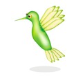 colibri