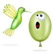 colibrì bis