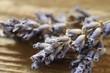 Lavendel getrocknet