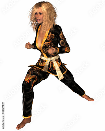 Illustration: kung fu 3 kung fu 3