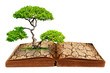 The big tree growth from a book with cracked ground texture, Glo
