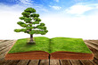 The big tree growth from a book with beautiful sky background