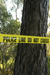 Crime scene in the forest