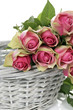 Foto: some pink roses in Basket some pink roses in Basket