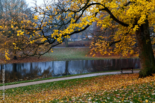 Photo: colorful golden autumn colorful golden autumn