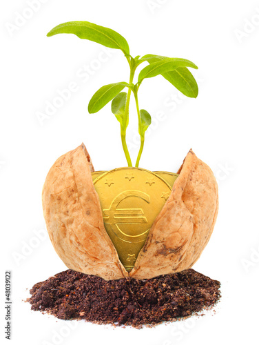 Photo: Money growth. Golden coins in nutshell. Saving concept. Money growth. Golden coins in nutshell. Saving concept.