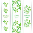 Vector Banner With Flowers Vector Banner With Flowers