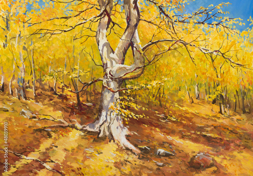 Illustration: Autumn forest Autumn forest