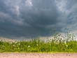 Dark Sky in Spring
