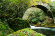 Roman bridge