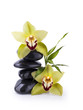 Galets Noir et Orchidée