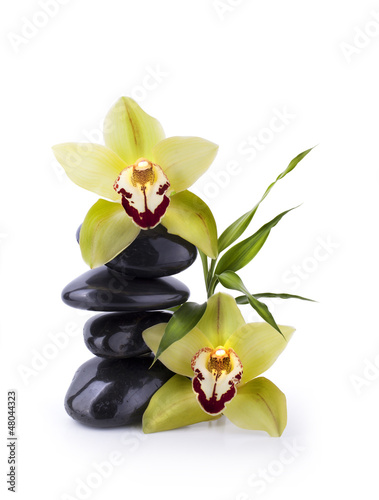 Photo: Galets Noir et Orchidée Galets Noir et Orchidée