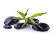 Foto: Galets Noir et Bambou Galets Noir et Bambou