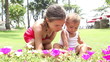 Video: young mother showing flowers to her child young mother showing flowers to her child