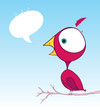 purple bird doodle wallpaper with text bubble