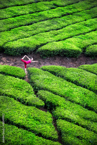 Photo: Yoga in tea plantations Yoga in tea plantations