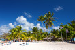 Palm trees on the tropical beach, Saona Island, Dominican Rep