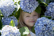 baby playing in purple chrysanthemum