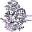 Word cloud for Destination spa