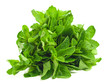 Erba aromatica - Aromatic herbs