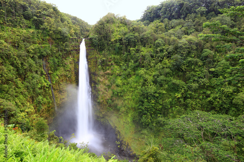 Photo: Waterfall - Akaka falls Hawaii Waterfall - Akaka falls Hawaii