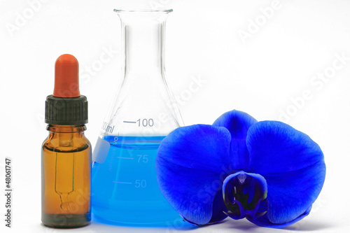 Photo: orchidee mit chemiekolben orchidee mit chemiekolben