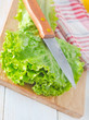 fresh salad