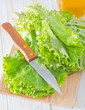 fresh salad