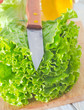 fresh salad