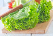 fresh salad