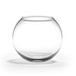 Empty fishbowl